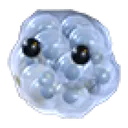 Frogspawn