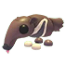 Giant Anteater