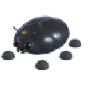 Giant Black Scarab