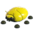Giant Gold Scarab