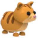 Ginger Cat