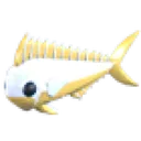 Gold Mahi Mahi