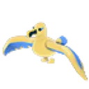 Golden Albatross