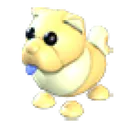 Golden Chow-Chow