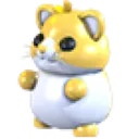 Golden Hamster