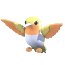 Golden Hummingbird