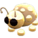 Golden Ladybug