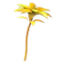 Golden Petunia