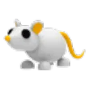 Golden Rat