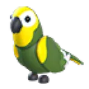 Green Amazon