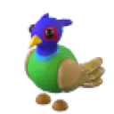 Green-Chested Pheasant