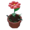 Growing Flower Hat
