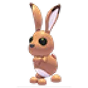 Hare