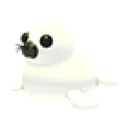 Harp Seal