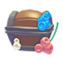 Hermit Crab Box