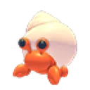 Hermit Crab
