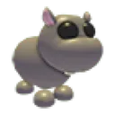 Hippo