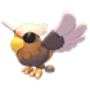 Hippogriff