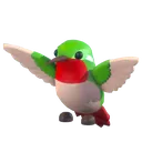 Hummingbird