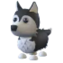 Husky