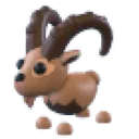 Ibex
