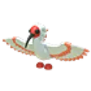 Ibis