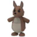 Kangaroo