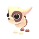 Kid Goat