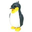 King Penguin