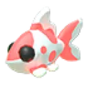 Koi Carp