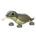 Komodo Dragon