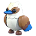 Kookaburra