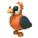 Lammergeier
