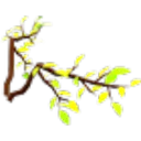 Leaf Wings