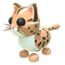 Leopard Cat
