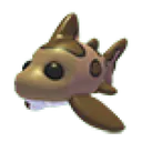 Leopard Shark