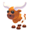 Longhorn Cow
