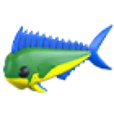 Mahi Mahi