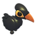 Maleo Bird