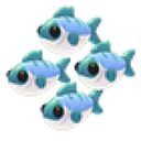 Many Mackerel