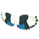 Mapgie Wings