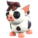 Mini Pig