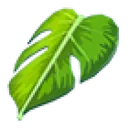 Monstera Leaf Cape
