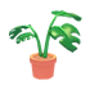 Monstera Plant Pot