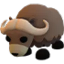 Musk Ox