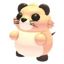 Muskrat