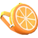 Orange Backpack