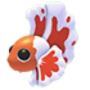 Orange Betta Fish