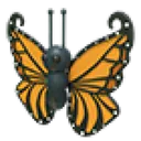 Orange Butterfly