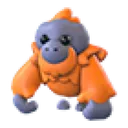 Orangutan